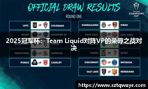 2025冠军杯：Team Liquid对阵VP的荣辱之战对决